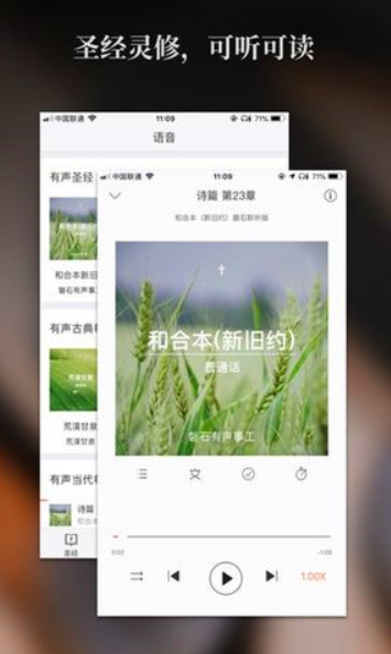 新约全书和旧约全书完整版