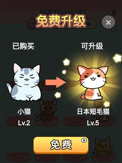 我的小猫游戏