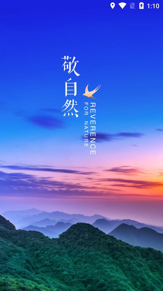 app下载