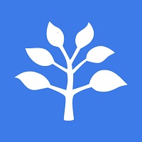 树选易购