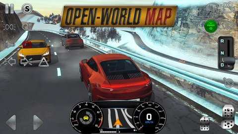 realdrivingsim