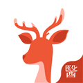 小鹿医生