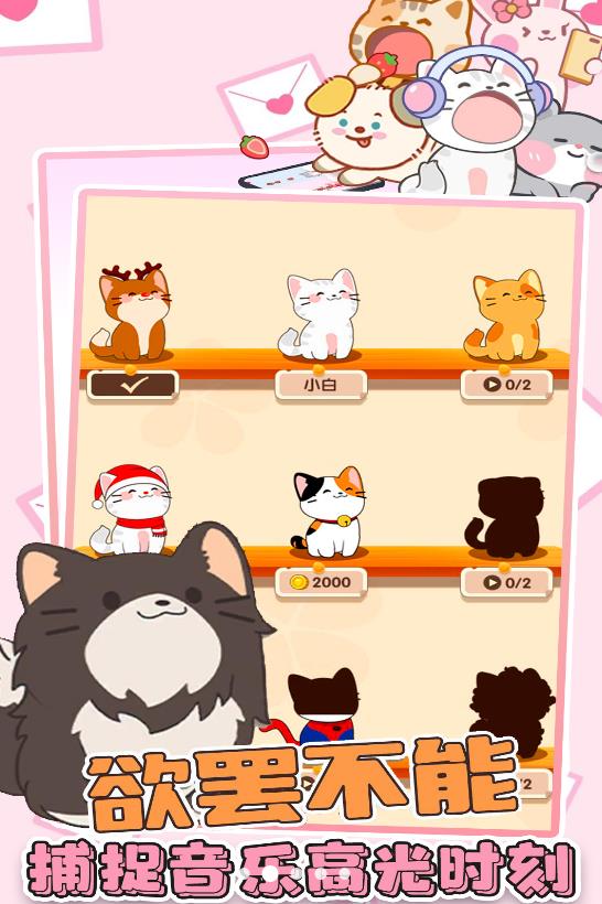 猫咪音乐双重奏 猫咪音乐双重奏