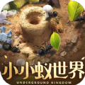 小小蚁世界汉化版