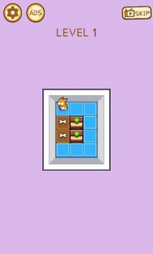 奔跑吧柯基 奔跑吧柯基