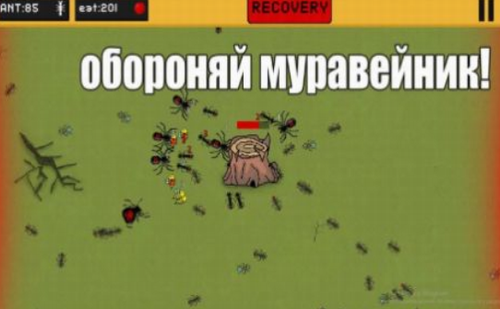 蚂蚁领地 蚂蚁领地