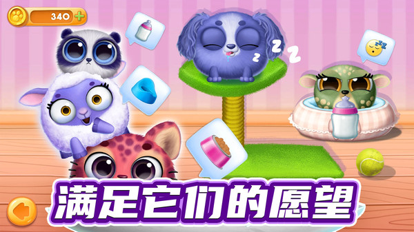 我的宠物总动员 我的宠物总动员