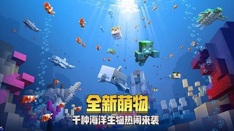 我的世界花雨庭飞行
