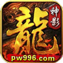 神影猎人王