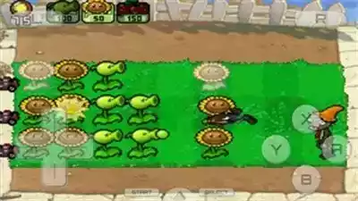 植物大战僵尸ds版