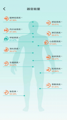 星网