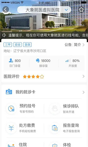 大象就医