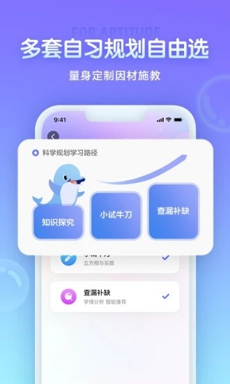 海豚自
