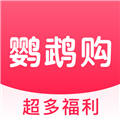 鹦鹉购