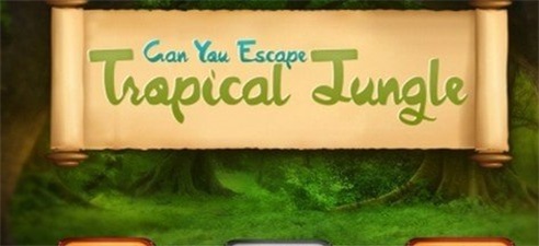 热带森林 热带森林