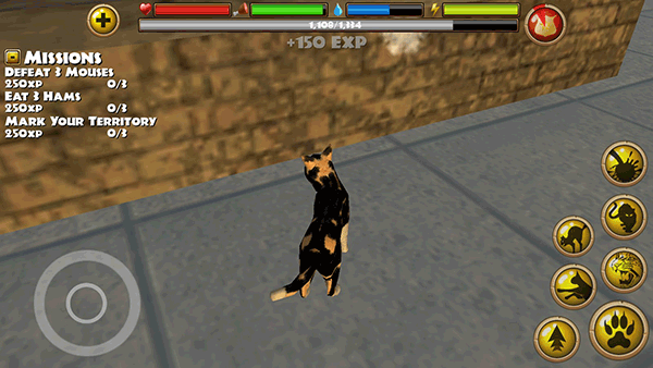 流浪猫模拟器游戏