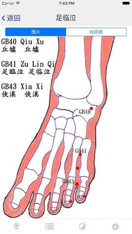 子午灵龟app