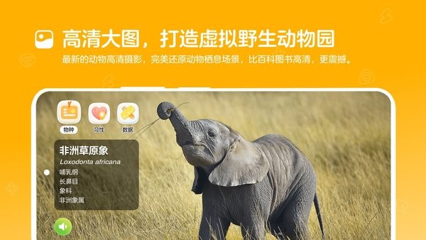 动来屋手机版