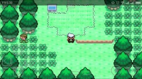 口袋妖怪神兽领域 口袋妖怪神兽领域