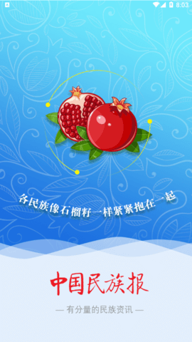 中国民族报