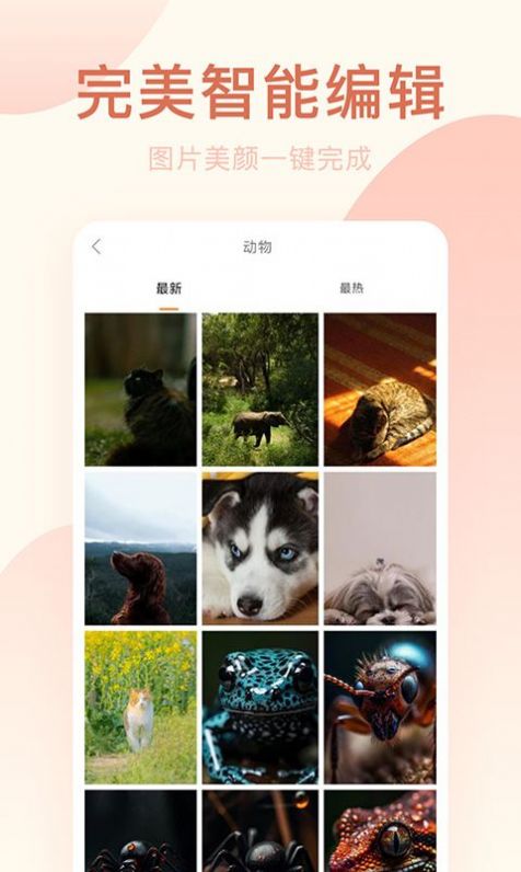 轻轻氧相机
