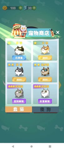 猫狗大作战