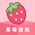 草莓壁纸免费官方版