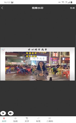 驰若水印相机