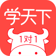 学天下一对一