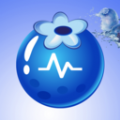 黑莓流量大师最新手机版