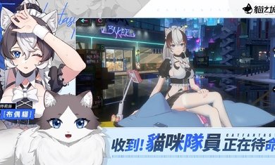 猫之城台服