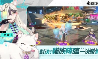 猫之城台服