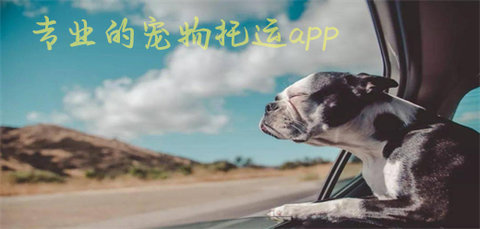 接送宠物的app