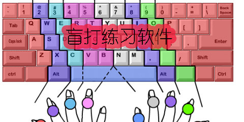 练盲打用什么软件