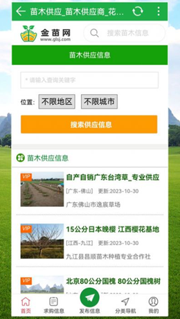 金苗网官方版