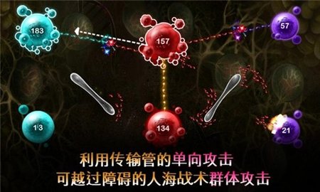 繁殖战争2