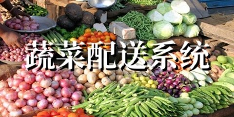 蔬菜配送系统软件
