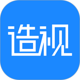 造视