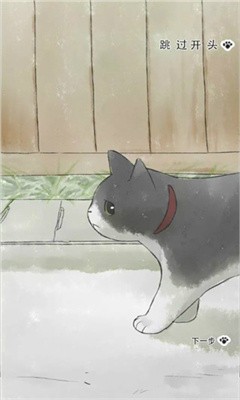 迷途猫 迷途猫
