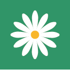 花帮主