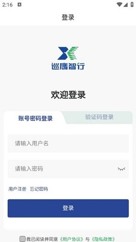 巡鹰智行