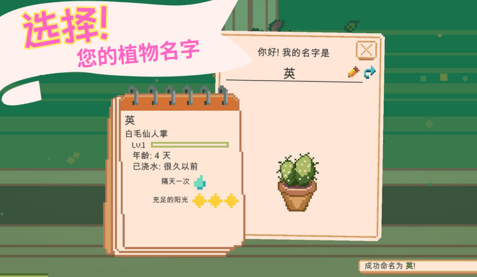窗边花园