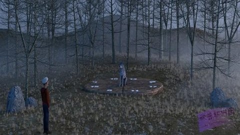 森林探险与谜团