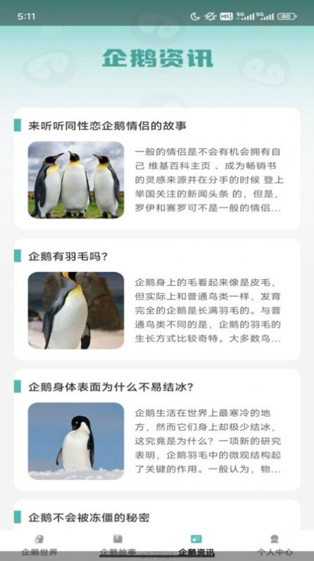 企鹅妙看