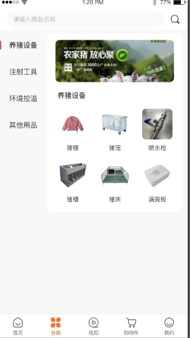 养猪一加一