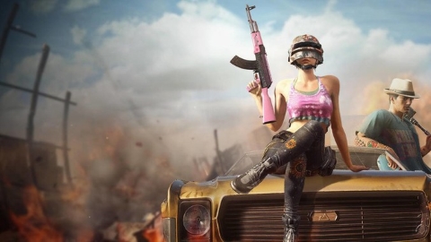 PUBG超清壁纸(PUBG Wallpaper HD 4K)