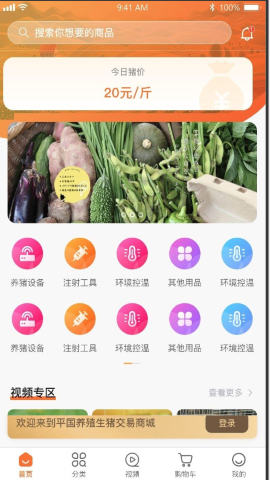 养猪一加一