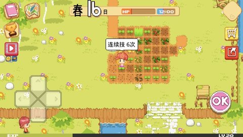 说到公主农场村