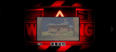 熊大的午夜后宫