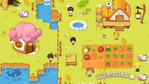 说到公主农场村
